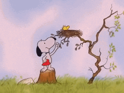Feliz Martes Snoopy GIF
