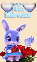 Feliz Miercoles Anita Cruz GIF