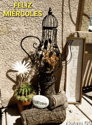 Feliz Miercoles Vintage Home Decorate GIF