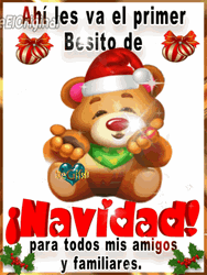 Feliz Navidad Familia GIF
