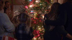 Feliz Navidad Familia GIF