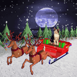 Feliz Navidad Gatos GIF