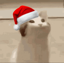 Feliz Navidad Gatos GIF