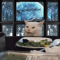 Feliz Navidad Gatos GIF