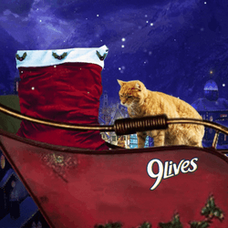 Feliz Navidad Gatos GIF
