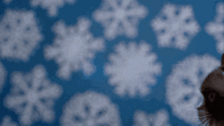 Feliz Navidad Gatos GIF