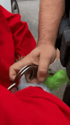 Feliz Navidad Grinch GIF