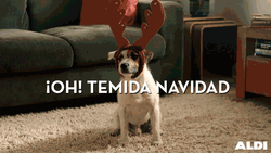 Feliz Navidad Grupo GIF