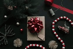 Feliz Navidad Hermano GIF
