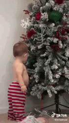 Feliz Navidad Hermano GIF