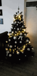 Feliz Navidad Hermano GIF