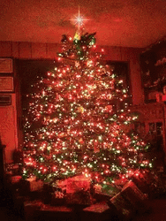 Feliz Navidad Hermano GIF