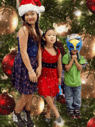 Feliz Navidad Hermano GIF