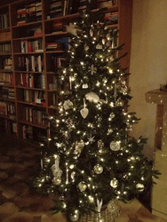 Feliz Navidad Mi Amor GIF