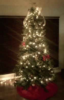 Feliz Navidad Mi Amor GIF