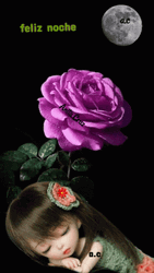 Feliz Noche Violet Roses Little Girl GIF