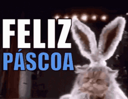 Feliz Pascua Cute Cat Wearing Bunny Costume GIF