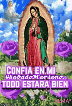 Feliz Sábado Bendiciones GIF