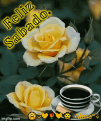 Feliz Sábado Bendiciones GIF