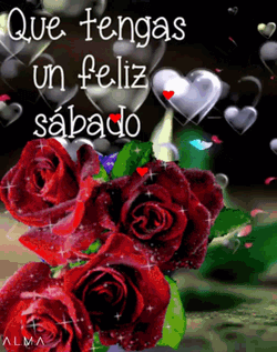 Feliz Sabado Happy Saturday GIF