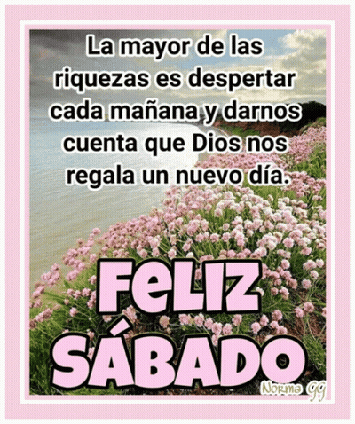Feliz Sabado Poster In Pink Flower Field GIF