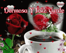 Feliz Tarde GIF