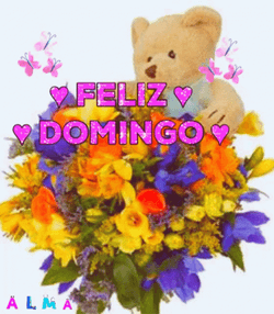 Feliz Tarde De Domingo GIF