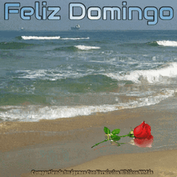 Feliz Tarde De Domingo GIF