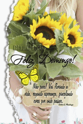 Feliz Tarde De Domingo GIF