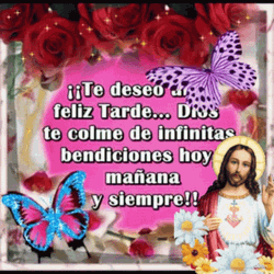Feliz Tarde De Domingo GIF