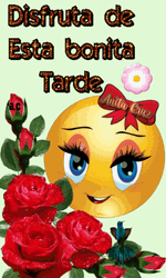 Feliz Tarde De Domingo GIF