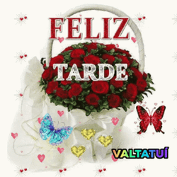 Feliz Tarde De Domingo GIF