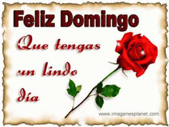 Feliz Tarde De Domingo GIF