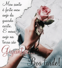 Feliz Tarde De Domingo GIF