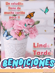 Feliz Tarde De Domingo GIF