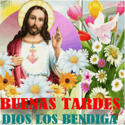 Feliz Tarde GIF