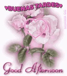 Feliz Tarde GIF
