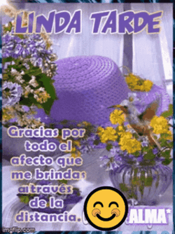 Feliz Tarde GIF