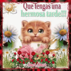 Feliz Tarde GIF