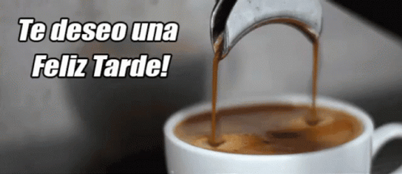 Feliz Tarde GIF
