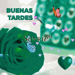 Feliz Tarde GIF