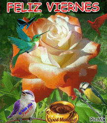 Feliz Viernes Birds On Flower GIF