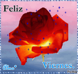 Feliz Viernes Color Changing Rose GIF