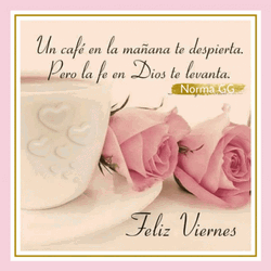 Feliz Viernes Pink Rose Quote GIF