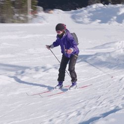 Fell On The Ski Memes GIF