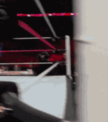 Female Wrestler Take A Bow GIF