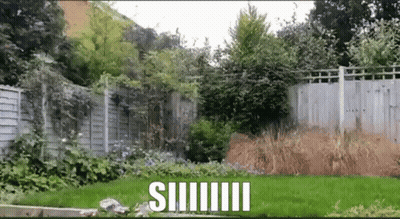 Fenced Yard With Siiiiii GIF