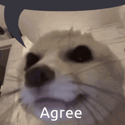 Fennec Fox Agreed GIF