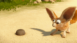 Fennec Fox Big Eyes Funny Animal  GIF