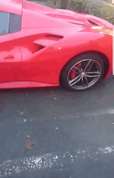 Ferrari Handicapped Parking